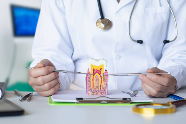 Best Emergency Tooth Extraction in Chauvin, LA